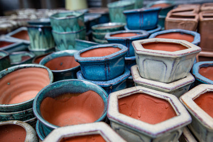 Bonsai Pots