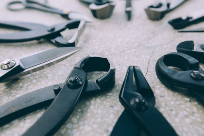 Bonsai Tools