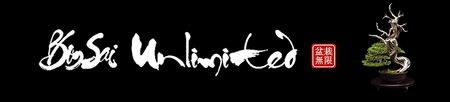 Bonsai Unlimited