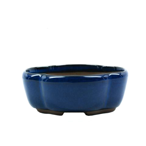 4.5" Tokoname Blue Lotus Shaped Pot